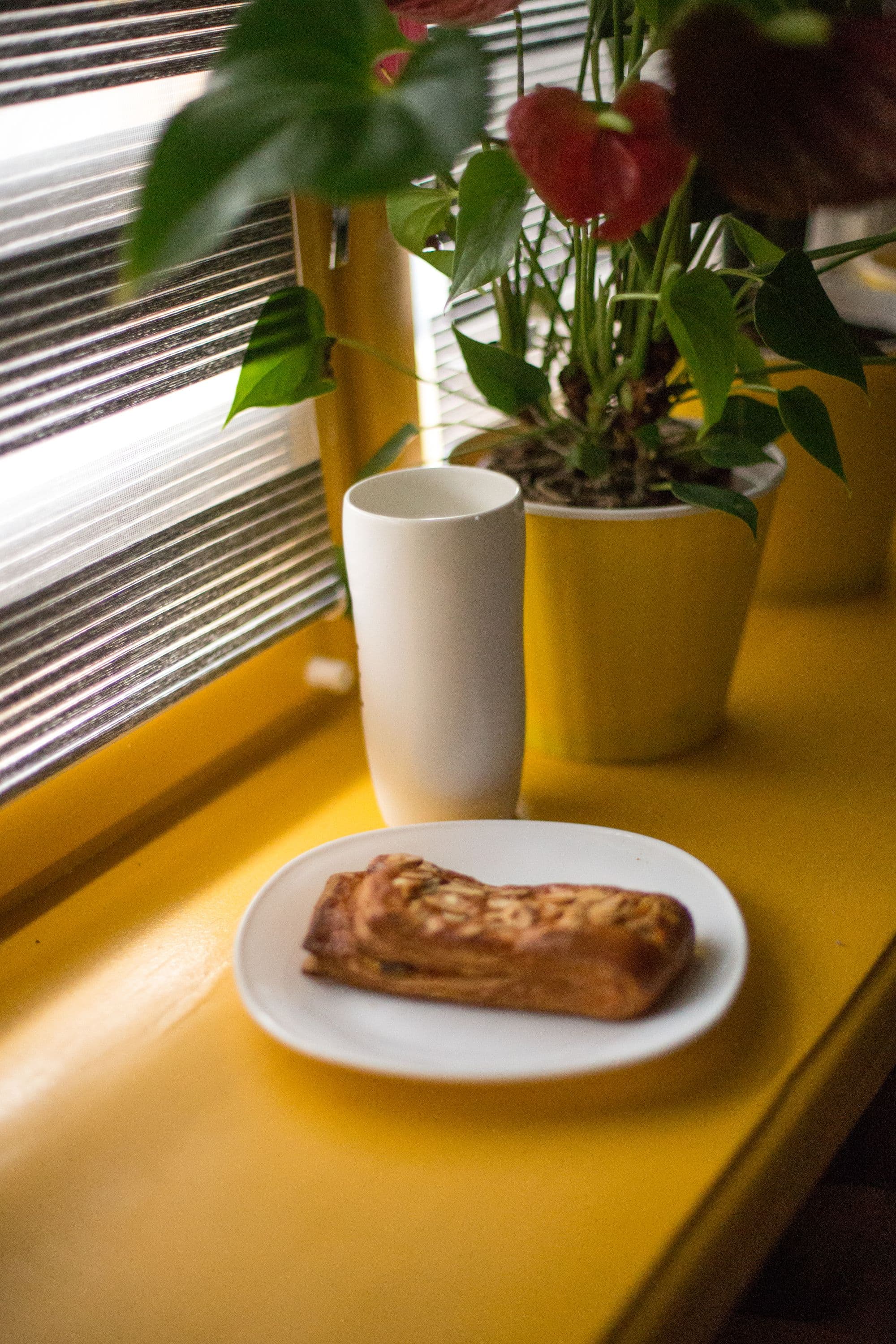 Tazza bianca e una pianta fiorita su un davanzale giallo illuminato dal sole del mattino, con una brioche sul piattino